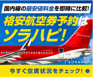 �\���n�s �̎���